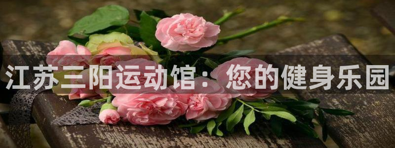 意昂体育5(KGAME)软件:江苏三阳运动馆:您的健身乐园