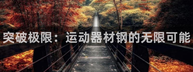 意昂体育5(KGAME)平台假的吗是真的吗:突破极限:运动器