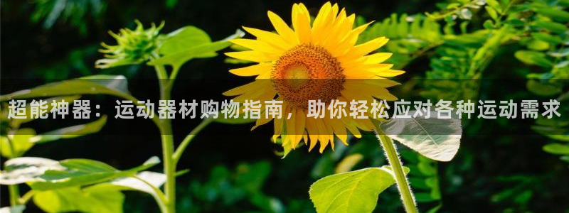 意昂体育5(KGAME)平台APP:超能神器:运动器材购物指